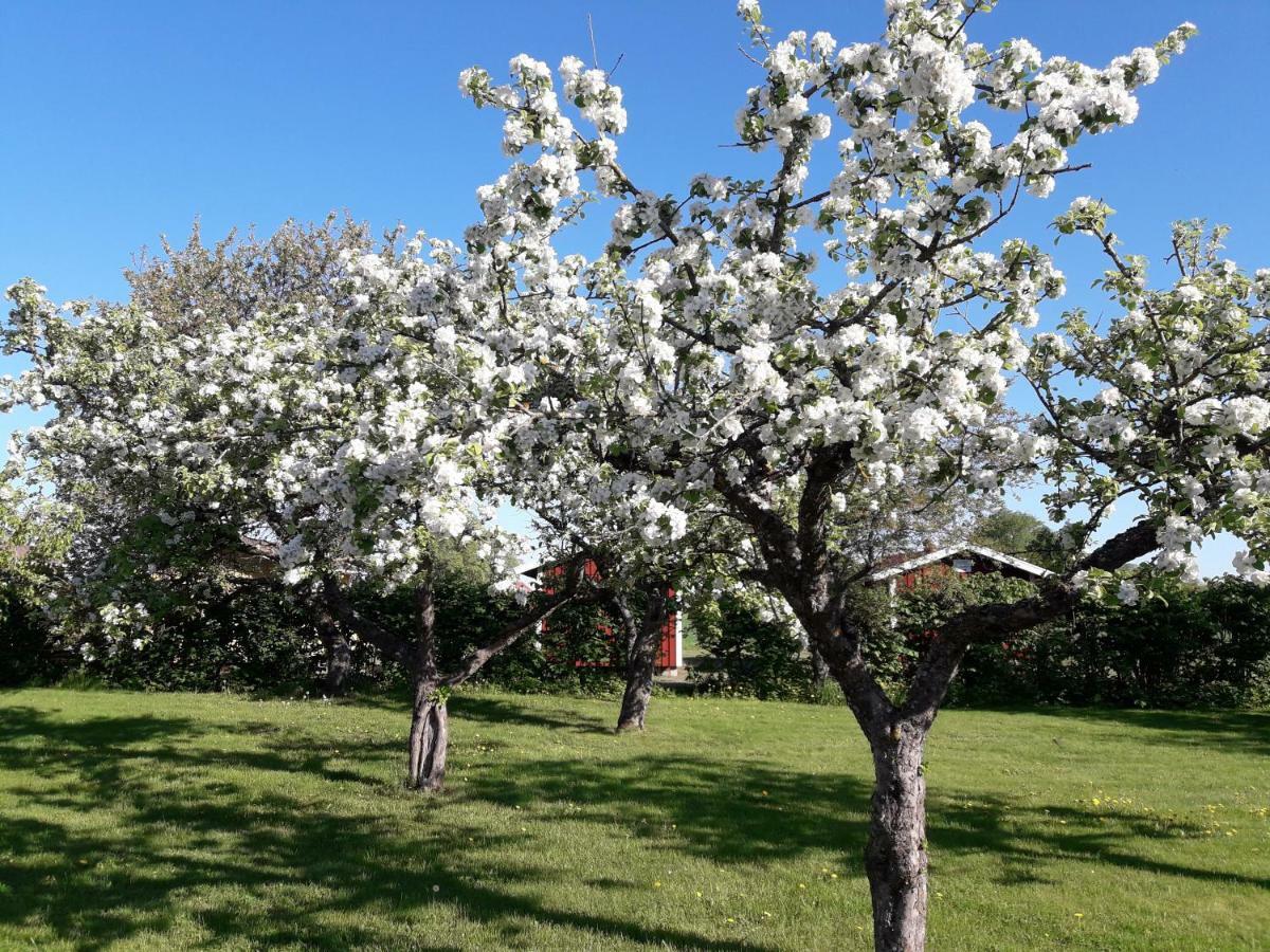 Mellomgarden Villa Norra Lundby Kültér fotó